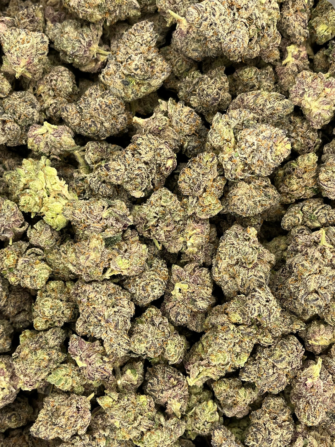 Gelato Indoor EXOTIC THCA - Carolina Distro