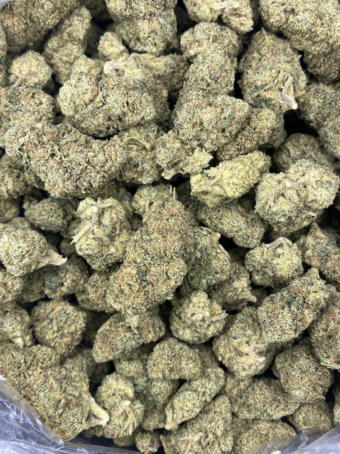 Wizard Fuel 27% THCA