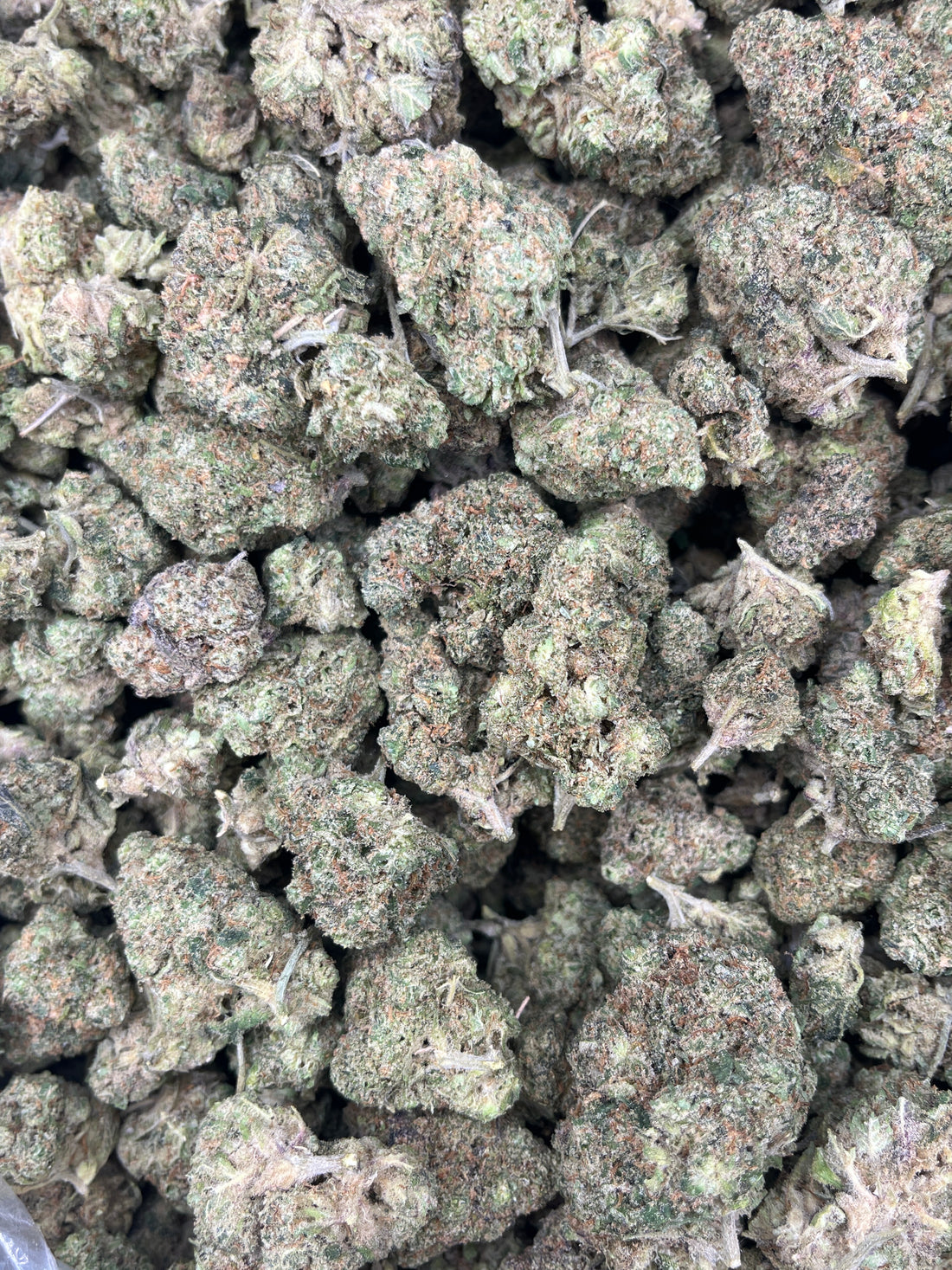 Twisted Terps 22% THCA - Carolina Distro