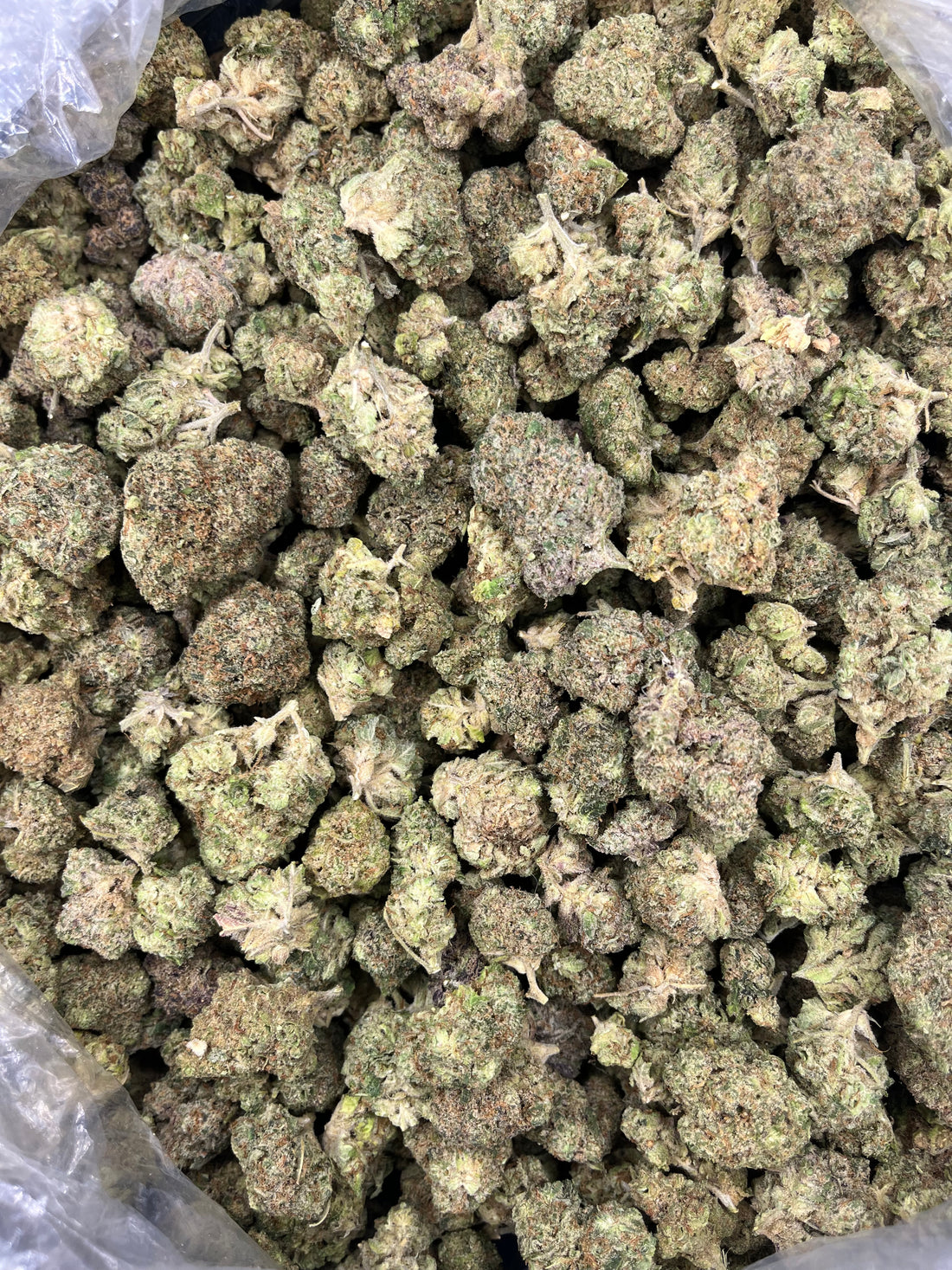Gello Shotz 36% THCA - Carolina Distro
